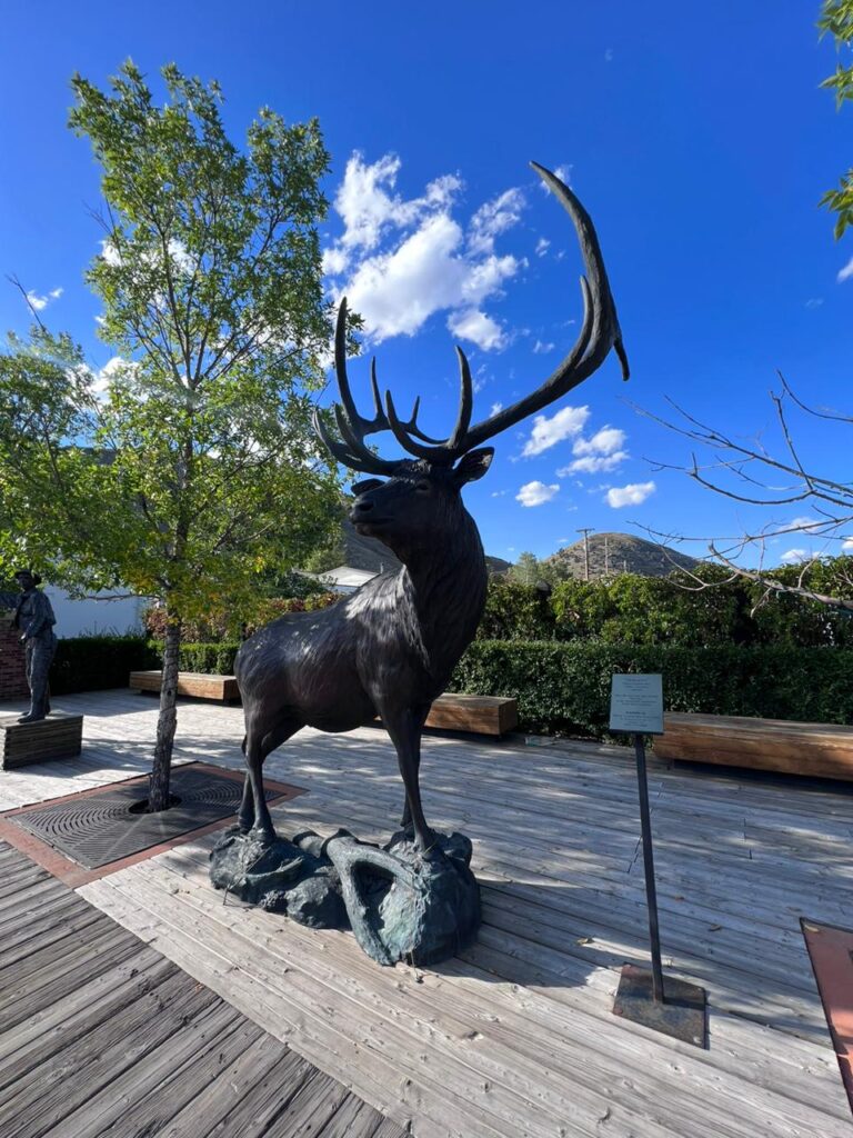 Jackon Wyoming