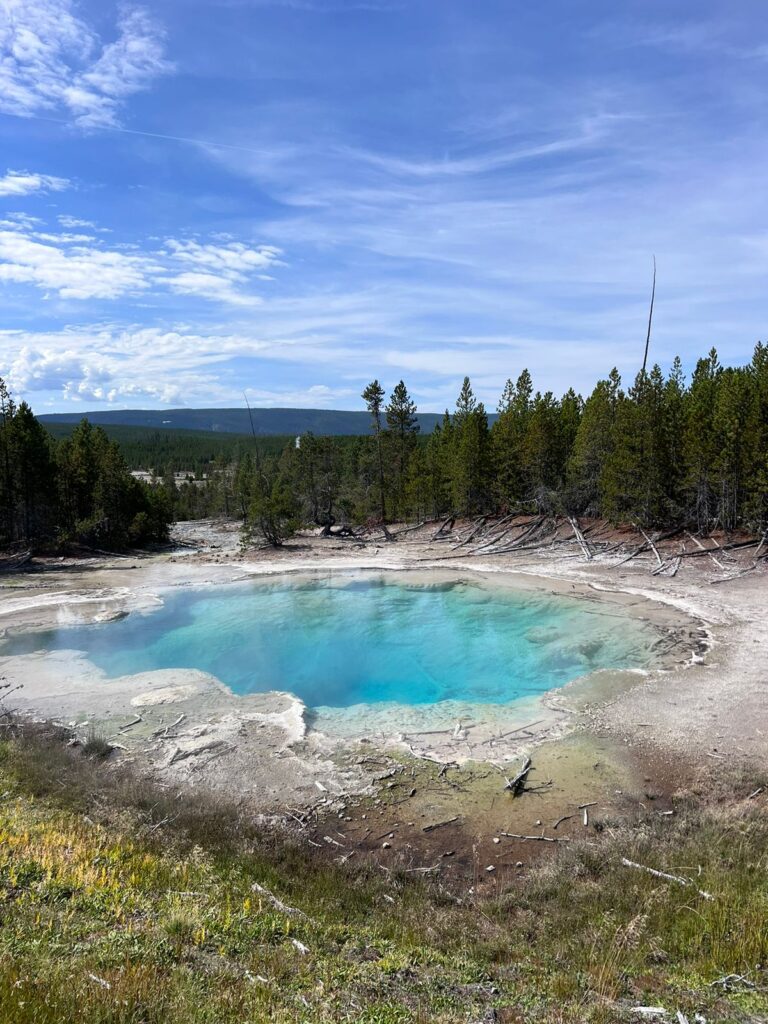 Yellowstone 3