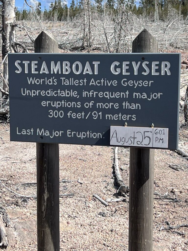 Yellowstone 4