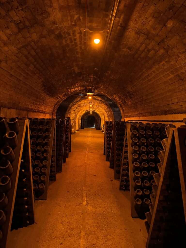 epernay champagne houses 9