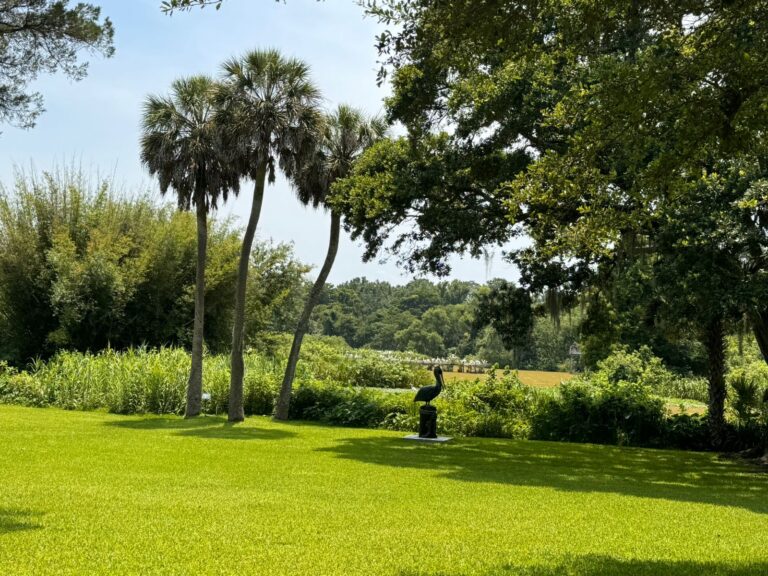 Jungle Garden 4