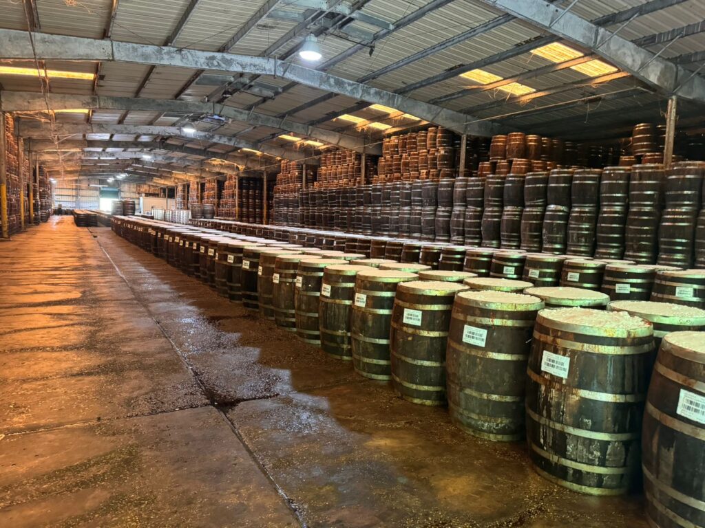 tabasco 2