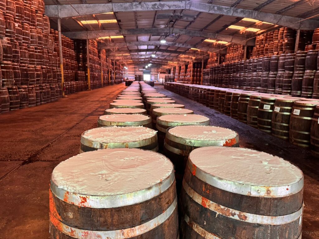 tabasco 3